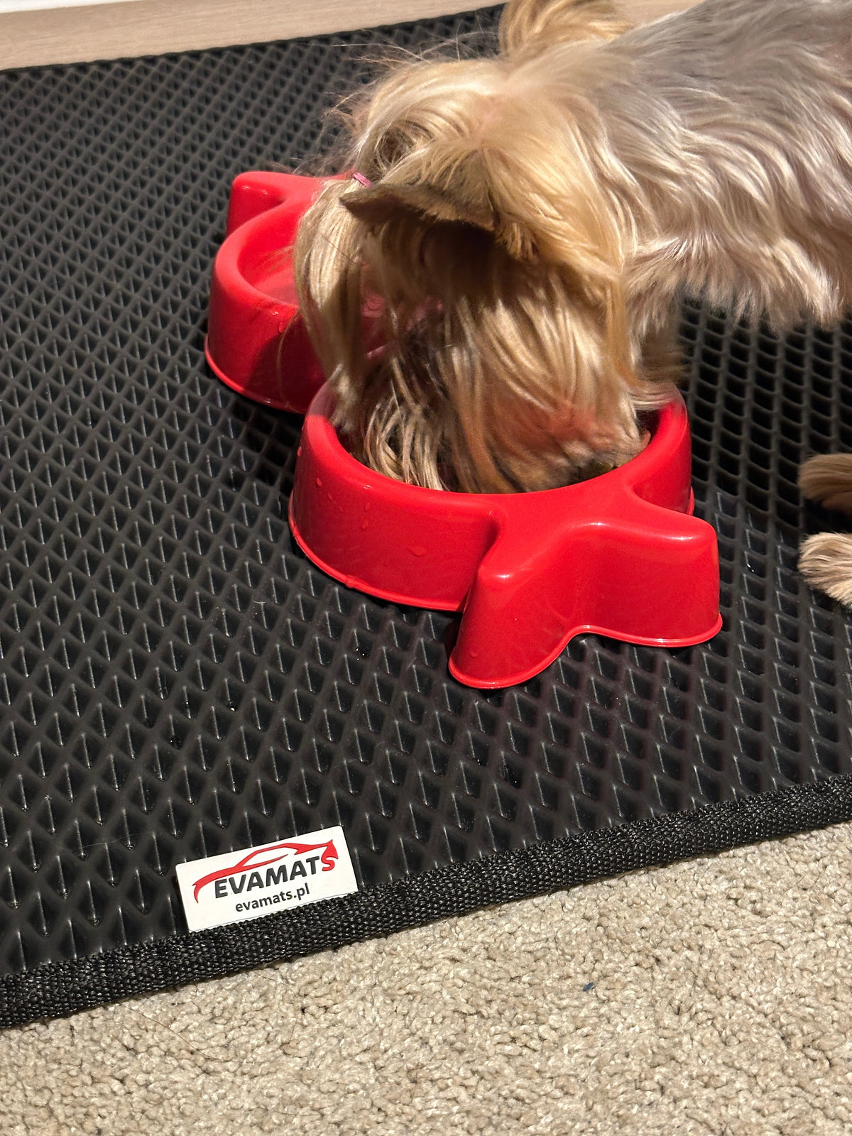 Tapis universel pour animaux de compagnie