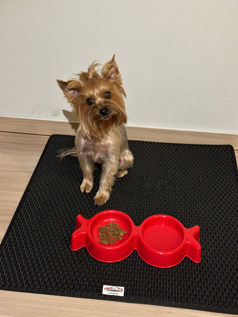 Tapis universel pour animaux de compagnie