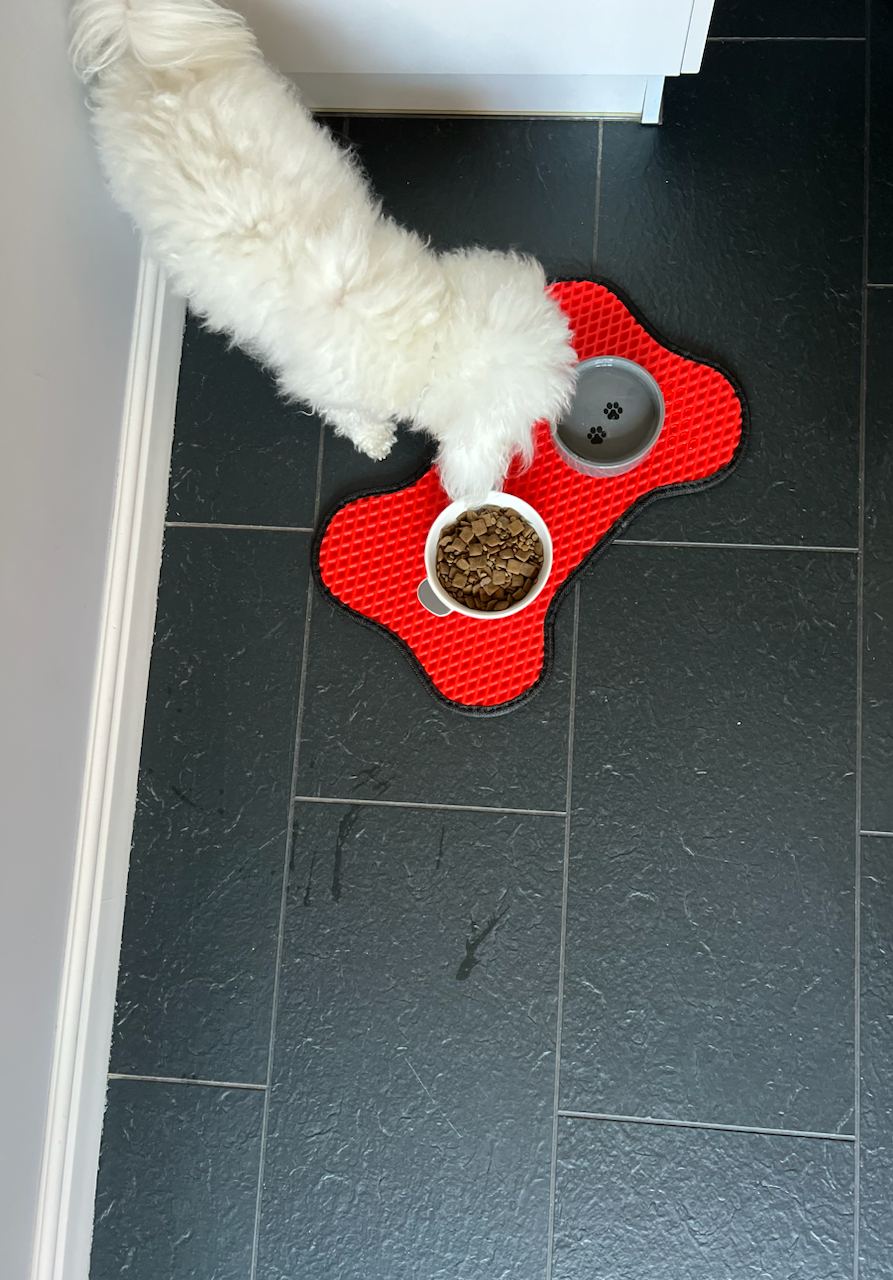 Tapis de gamelle en forme d'os