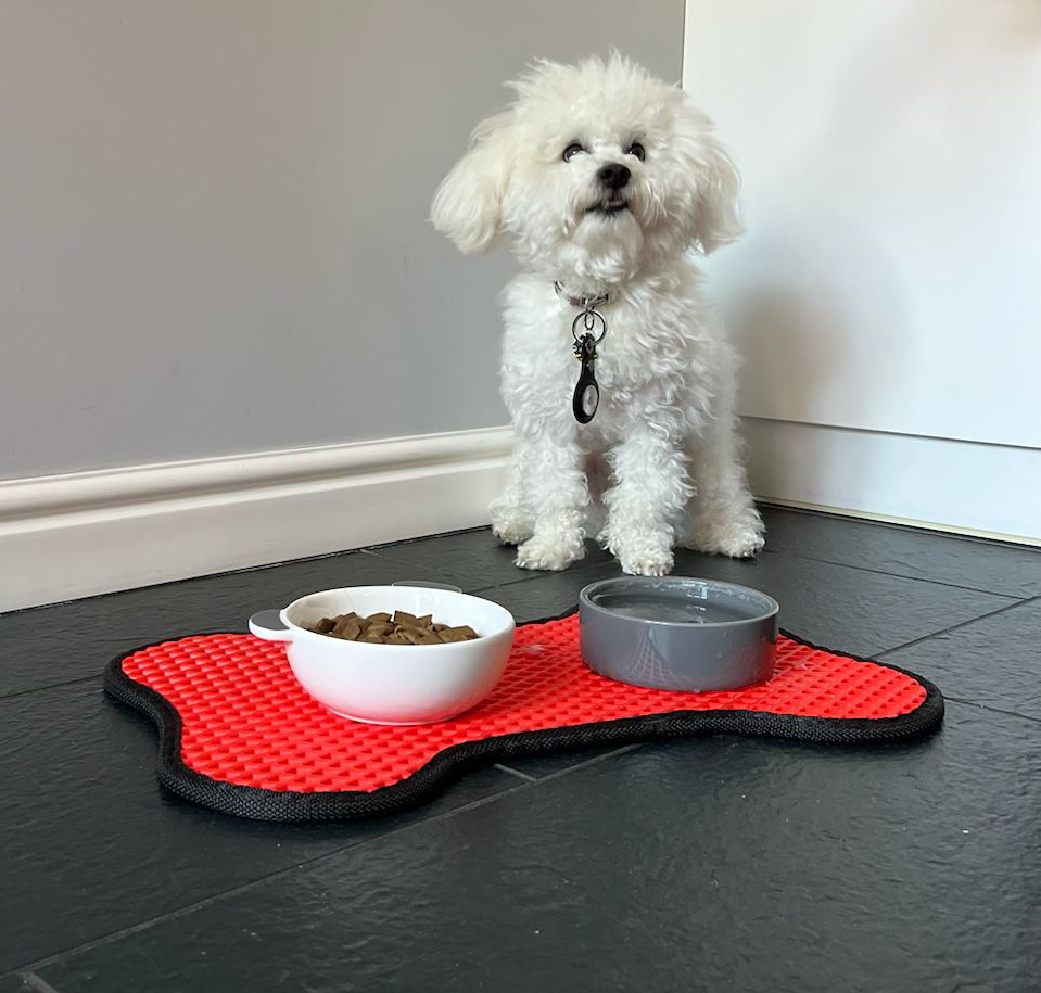 Tapis de gamelle en forme d'os