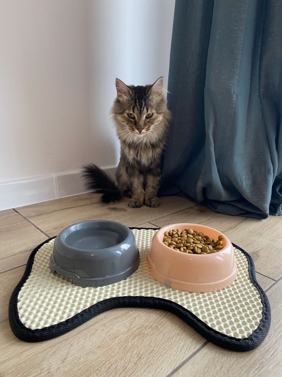 Tapis pour gamelle de chat