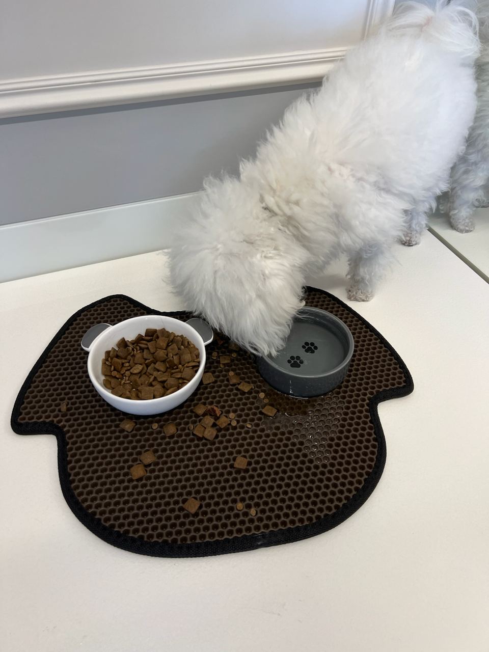 Tapis pour gamelle de chien