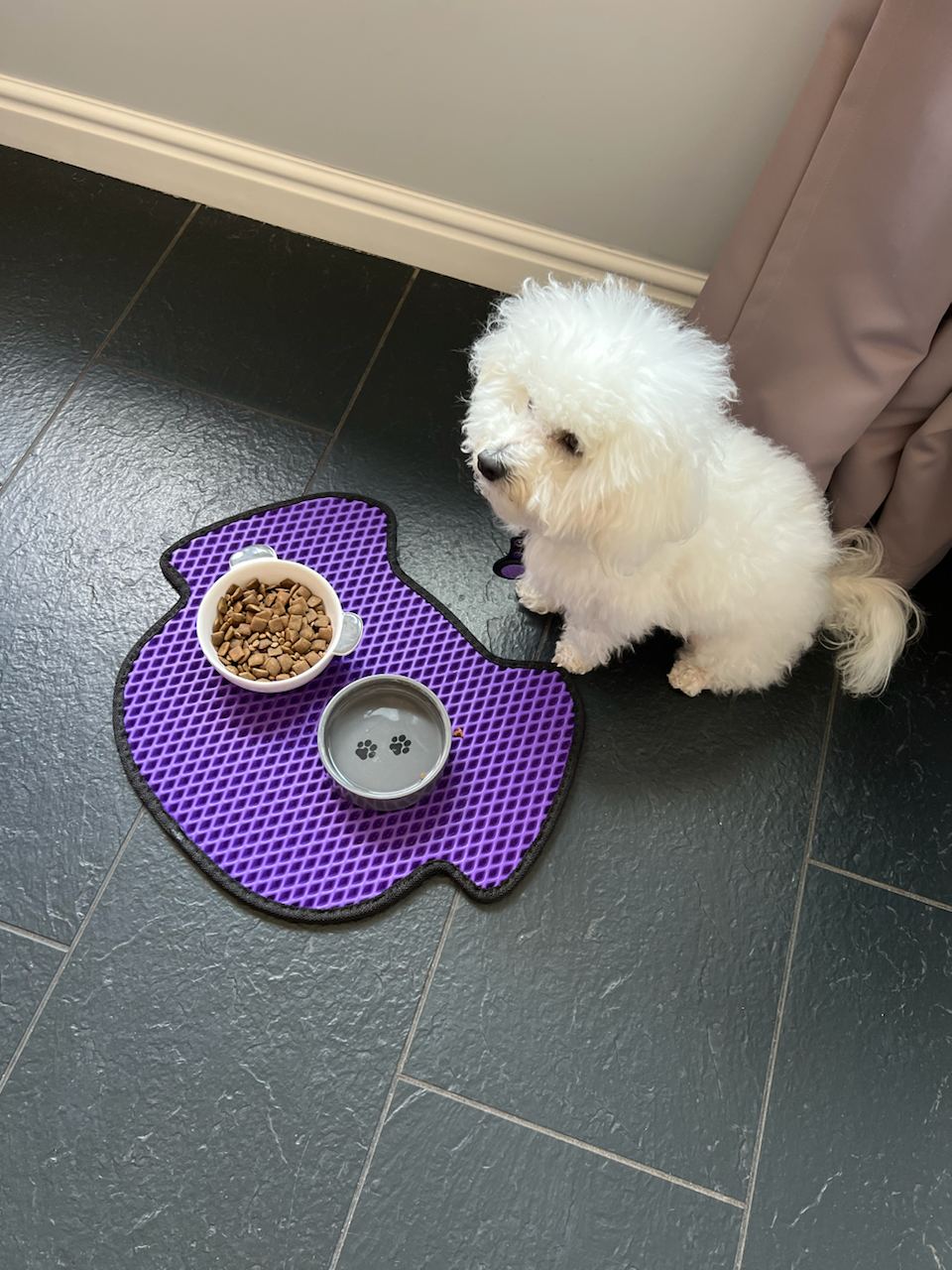 Tapis pour gamelle de chien